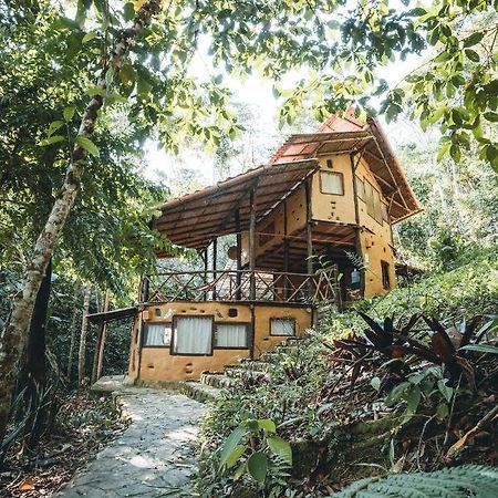 Chirapa Manta Amazon Lodge Lamas 외부 사진