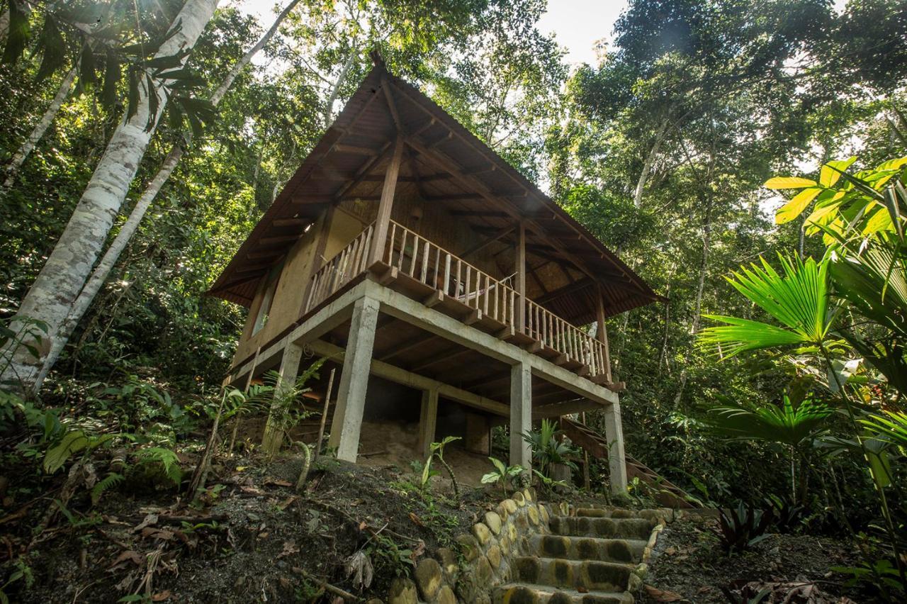 Chirapa Manta Amazon Lodge Lamas 외부 사진