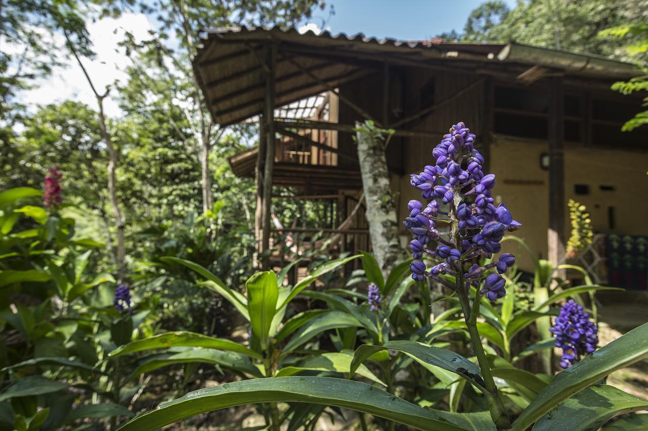 Chirapa Manta Amazon Lodge Lamas 외부 사진