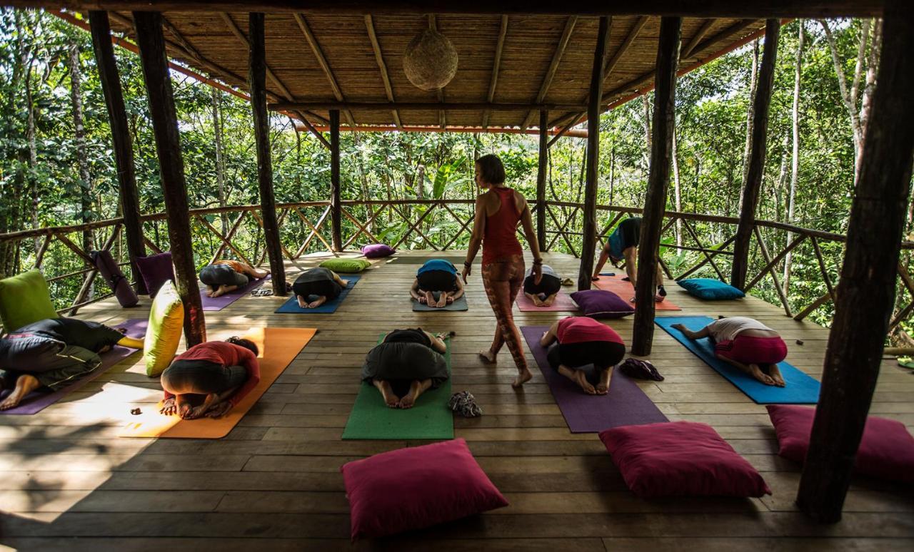 Chirapa Manta Amazon Lodge Lamas 외부 사진
