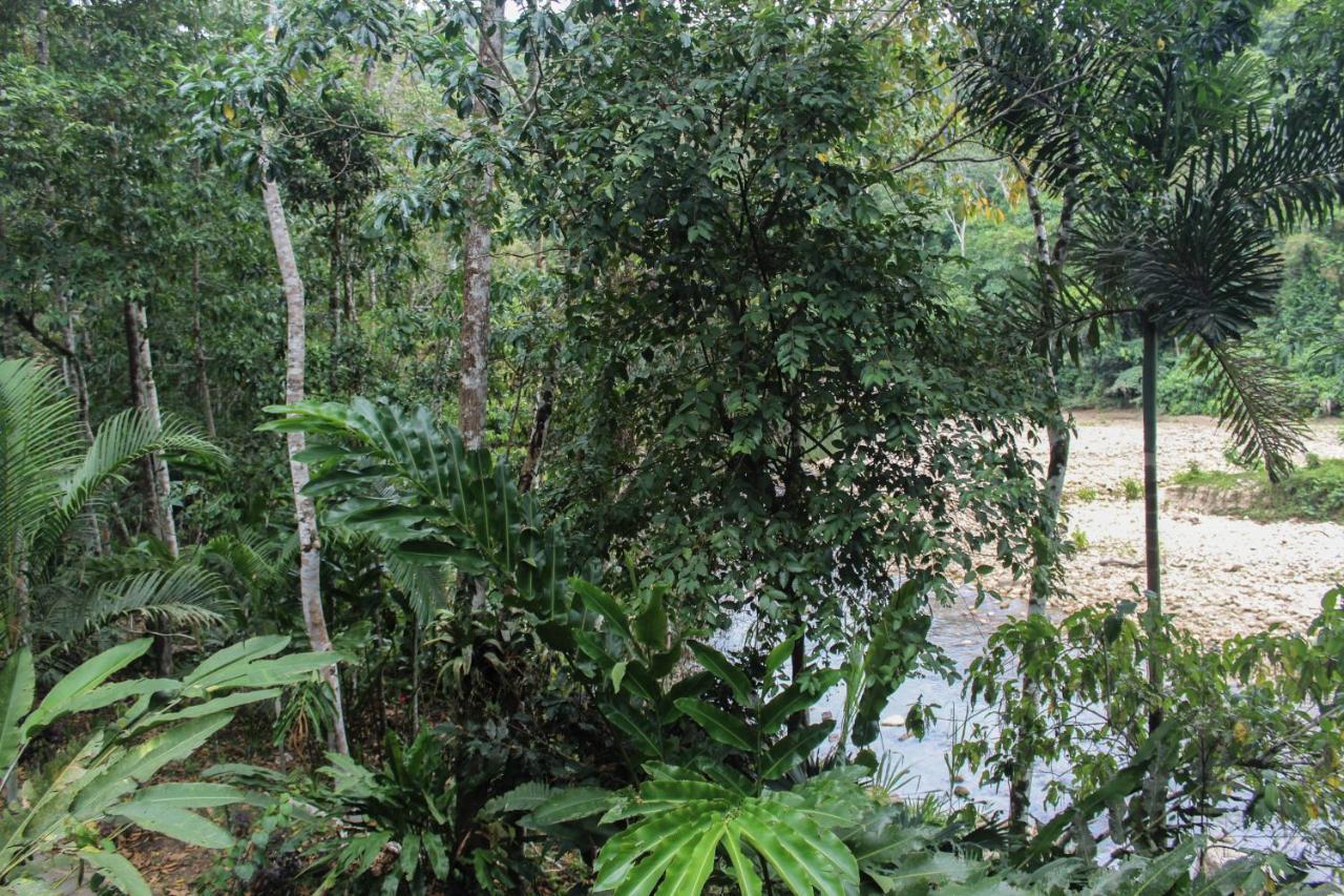 Chirapa Manta Amazon Lodge Lamas 외부 사진