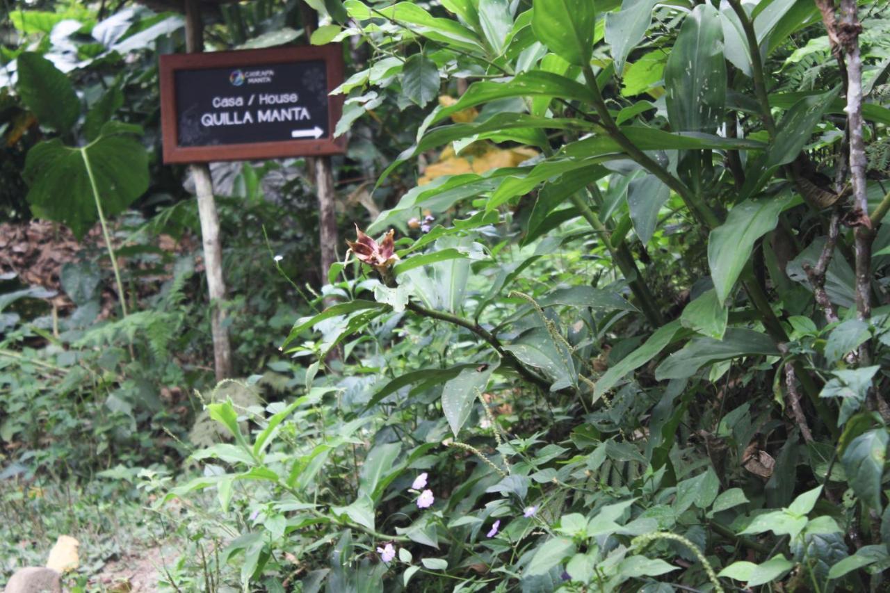 Chirapa Manta Amazon Lodge Lamas 외부 사진